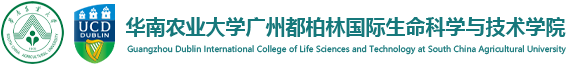 云鼎国际4118